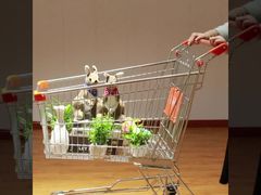  Asian Type Grocery store carring Galvanized SGS Certificate Escalator Grocery Shopping Trolley