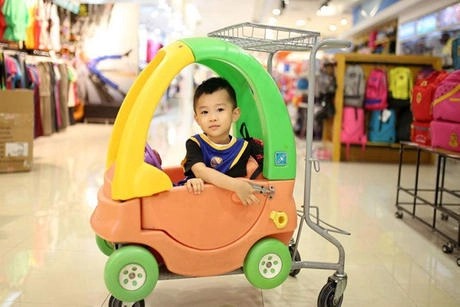 Latest company blogs about Why is a Secure Shopping Trolley a Crucial Element of Your Store's Safety ?
